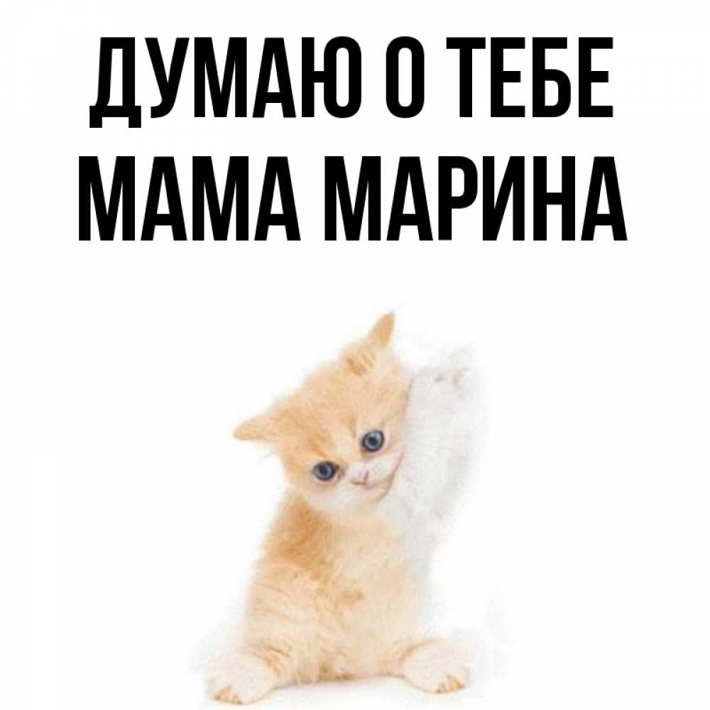 Открытка на каждый день с именем, Мама-Марина Думаю о тебе зверушки и милота Прикольная открытка с пожеланием онлайн скачать бесплатно 