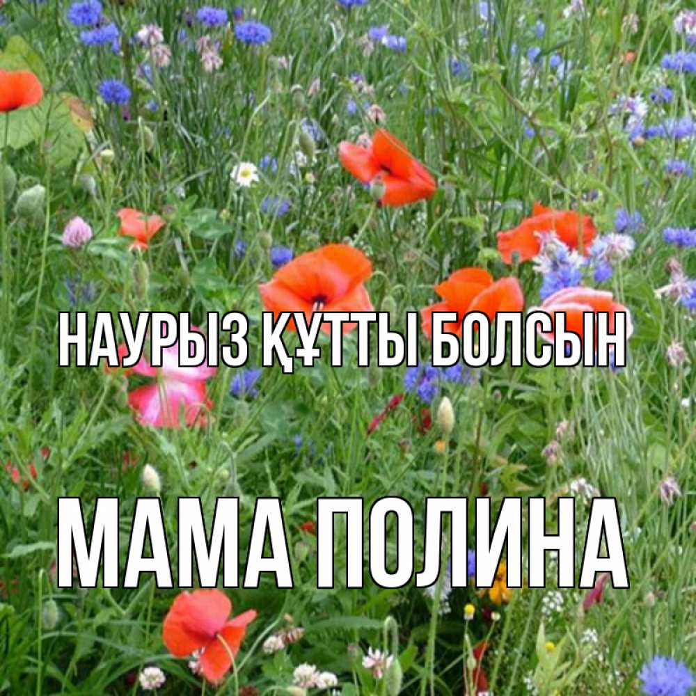 Открытка на каждый день с именем, Мама-Полина Наурыз құтты болсын наурыз  4 Прикольная открытка с пожеланием онлайн скачать бесплатно 