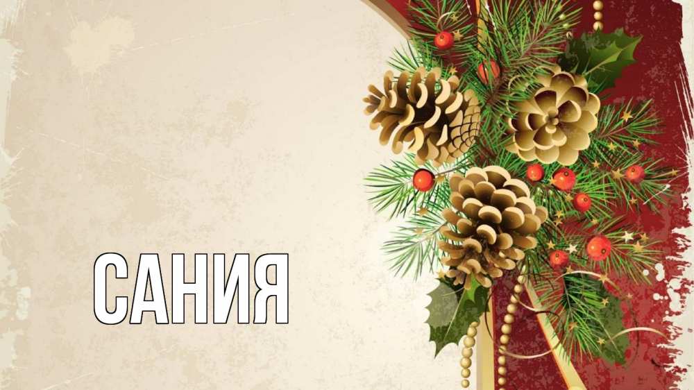 Открытка на каждый день с именем, Сания Главная шишки Прикольная открытка с пожеланием онлайн скачать бесплатно 