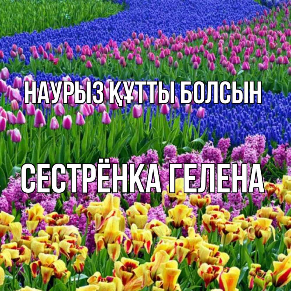 Открытка на каждый день с именем, Сестрёнка-Гелена Наурыз құтты болсын цветы Прикольная открытка с пожеланием онлайн скачать бесплатно 