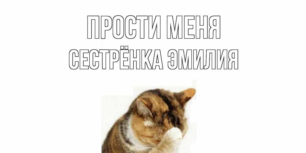 Открытка на каждый день с именем, Сестрёнка-Эмилия Прости меня кот Прикольная открытка с пожеланием онлайн скачать бесплатно 