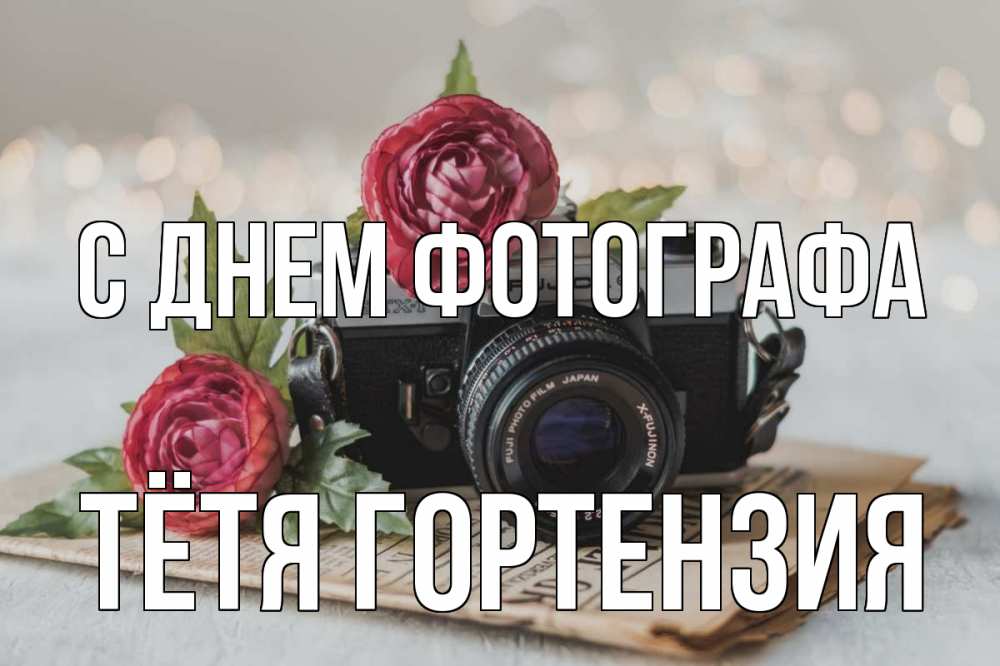 Открытка на каждый день с именем, Тётя-Гортензия С днем фотографа с днем фотографа Прикольная открытка с пожеланием онлайн скачать бесплатно 