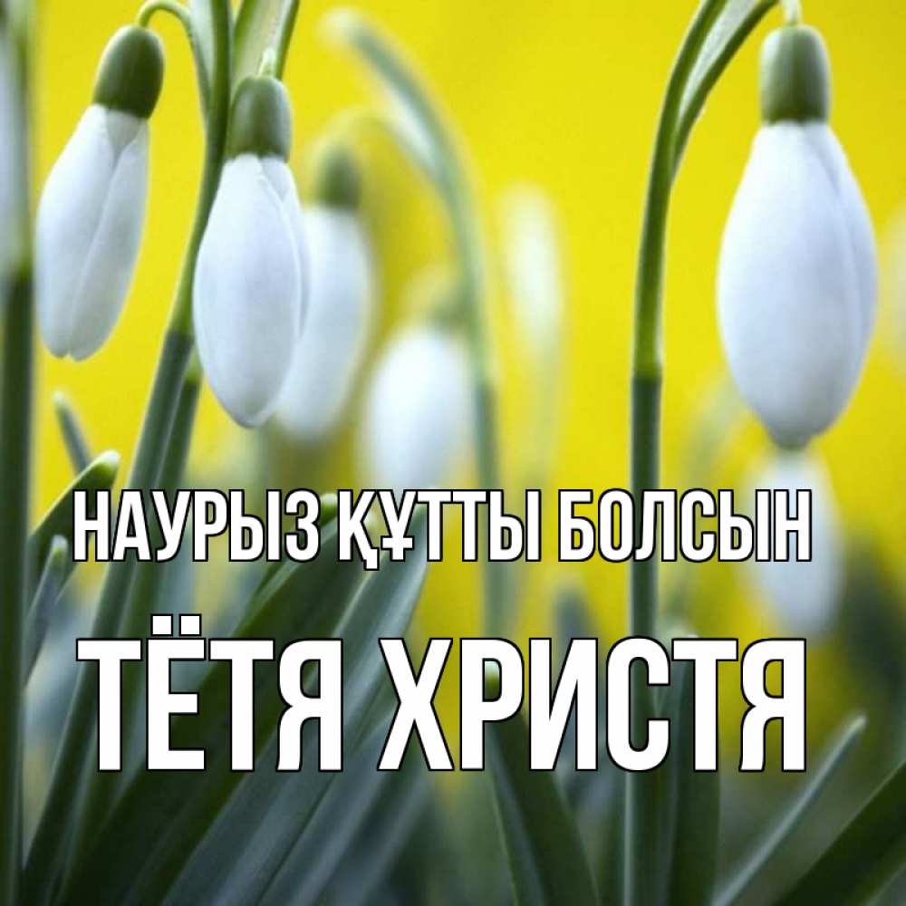 Открытка на каждый день с именем, Тётя-Христя Наурыз құтты болсын весенние цветы Прикольная открытка с пожеланием онлайн скачать бесплатно 