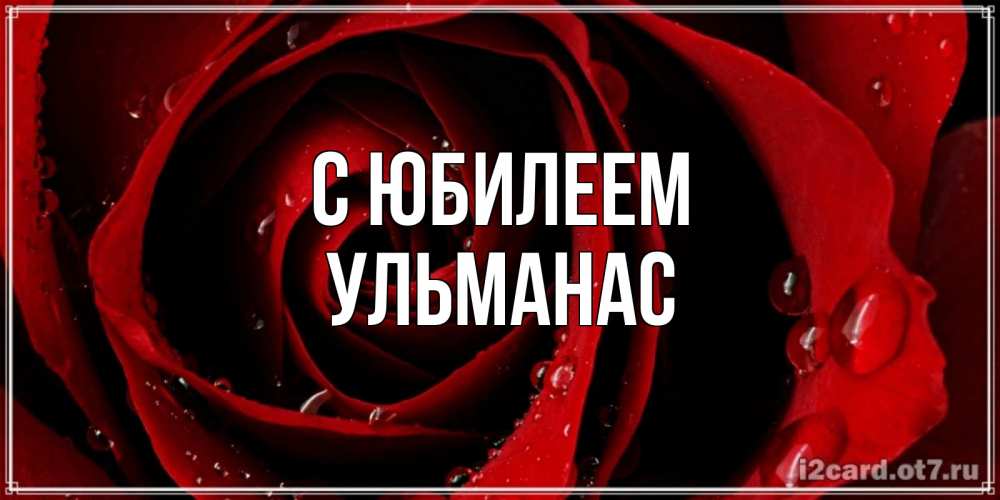 Открытка на каждый день с именем, Ульманас С юбилеем крупная бордовая роза Прикольная открытка с пожеланием онлайн скачать бесплатно 