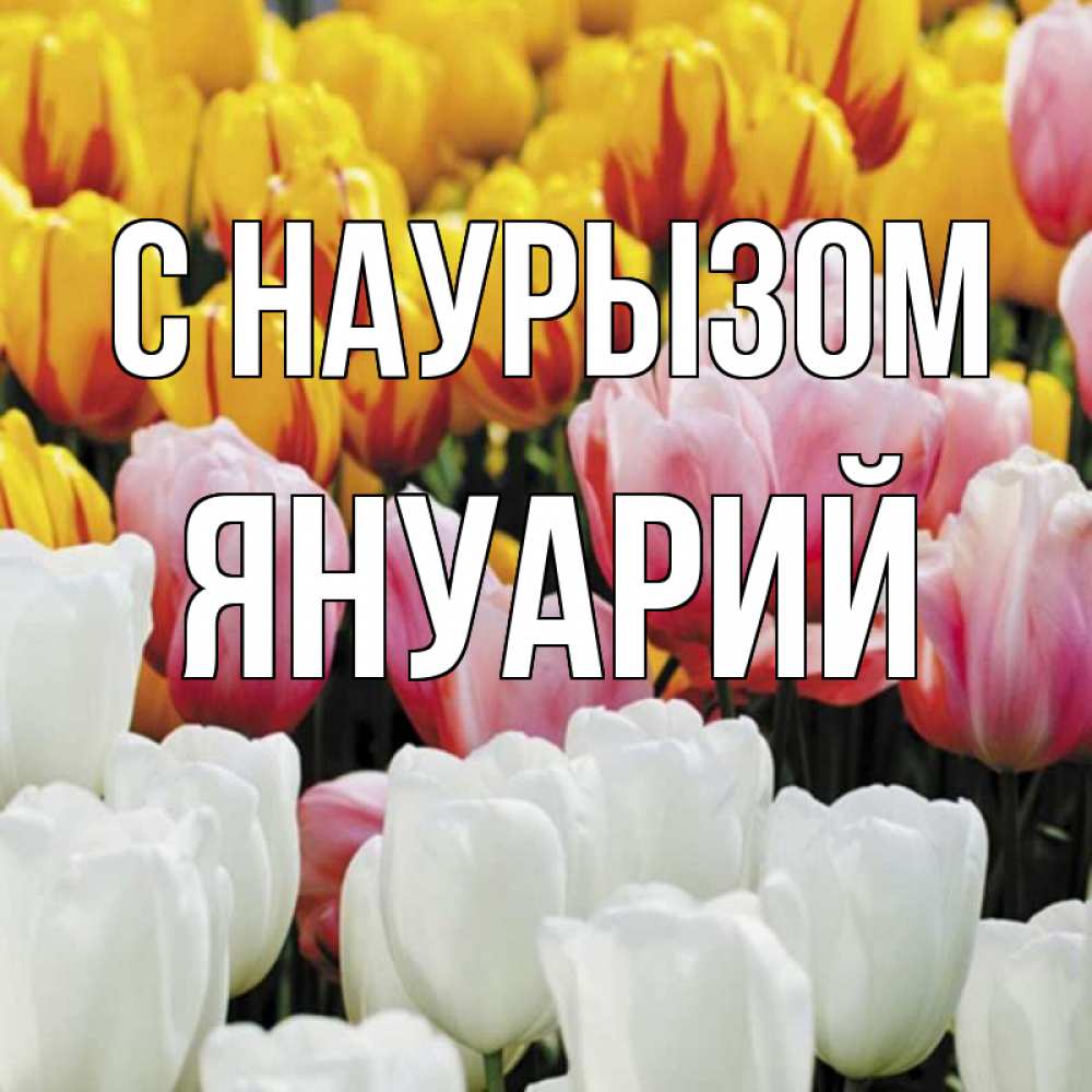 Открытка на каждый день с именем, Януарий С наурызом разноцветные цветы Прикольная открытка с пожеланием онлайн скачать бесплатно 