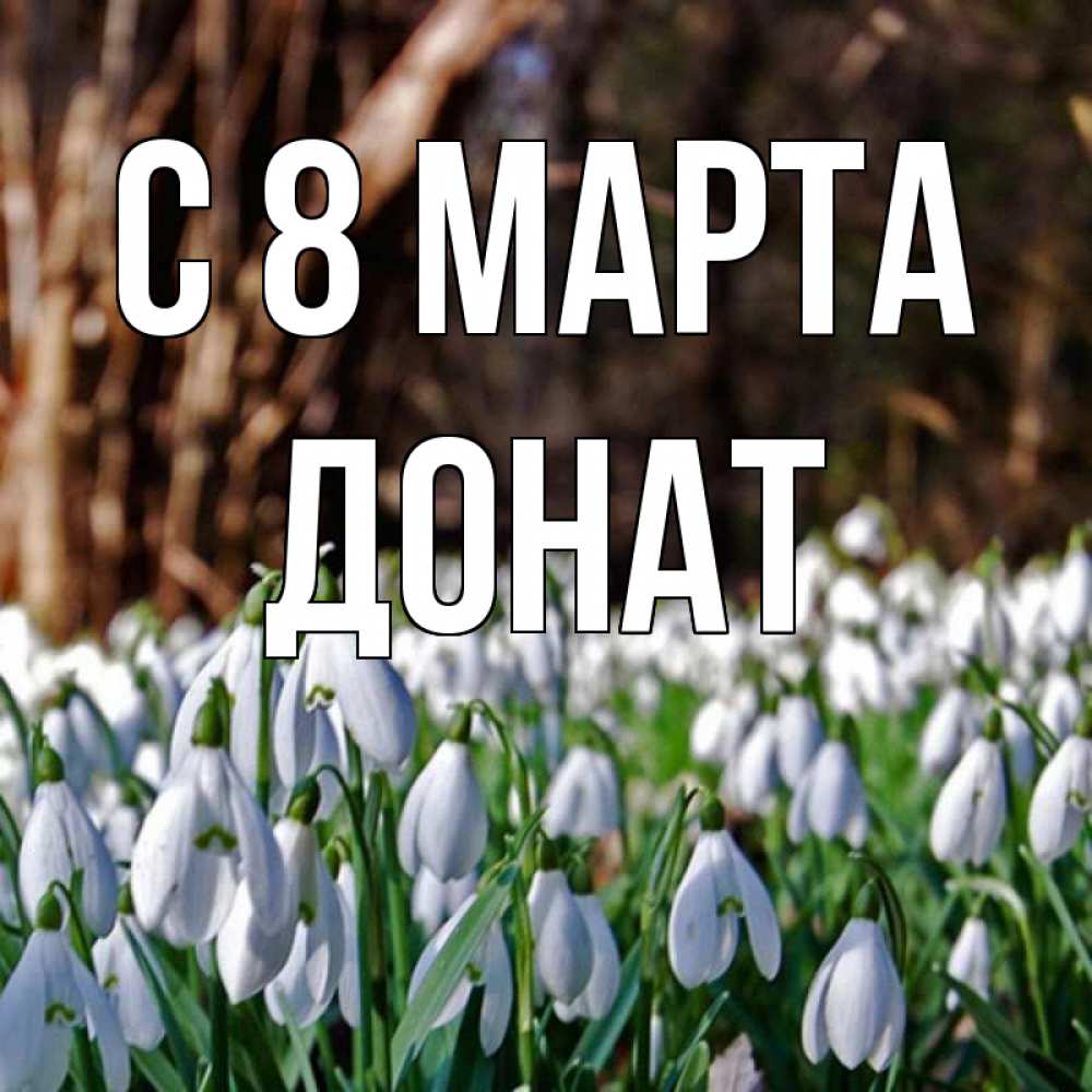 Открытка на каждый день с именем, Донат С 8 МАРТА с подснежниками 1 Прикольная открытка с пожеланием онлайн скачать бесплатно 