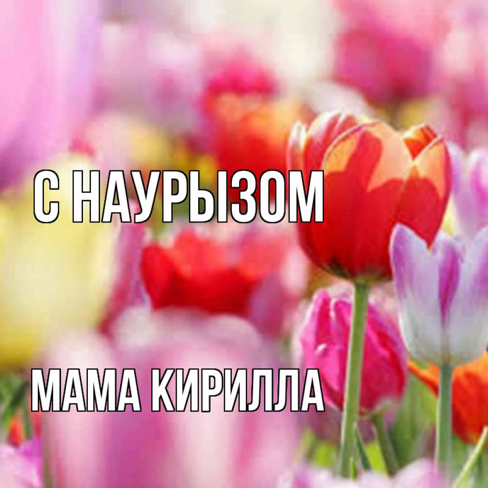 Открытка на каждый день с именем, Мама-Кирилла С наурызом праздник весны наурыз 67 Прикольная открытка с пожеланием онлайн скачать бесплатно 