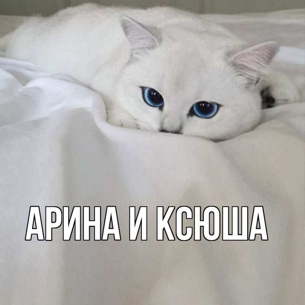 Открытка на каждый день с именем, Арина-и-Ксюша Главная я очень по тебе скучаю и тоскую Прикольная открытка с пожеланием онлайн скачать бесплатно 