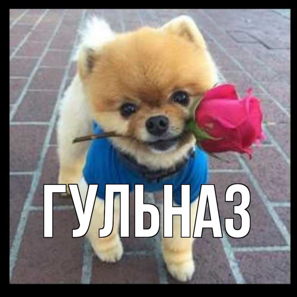 Картинка  с именем , Гульназ