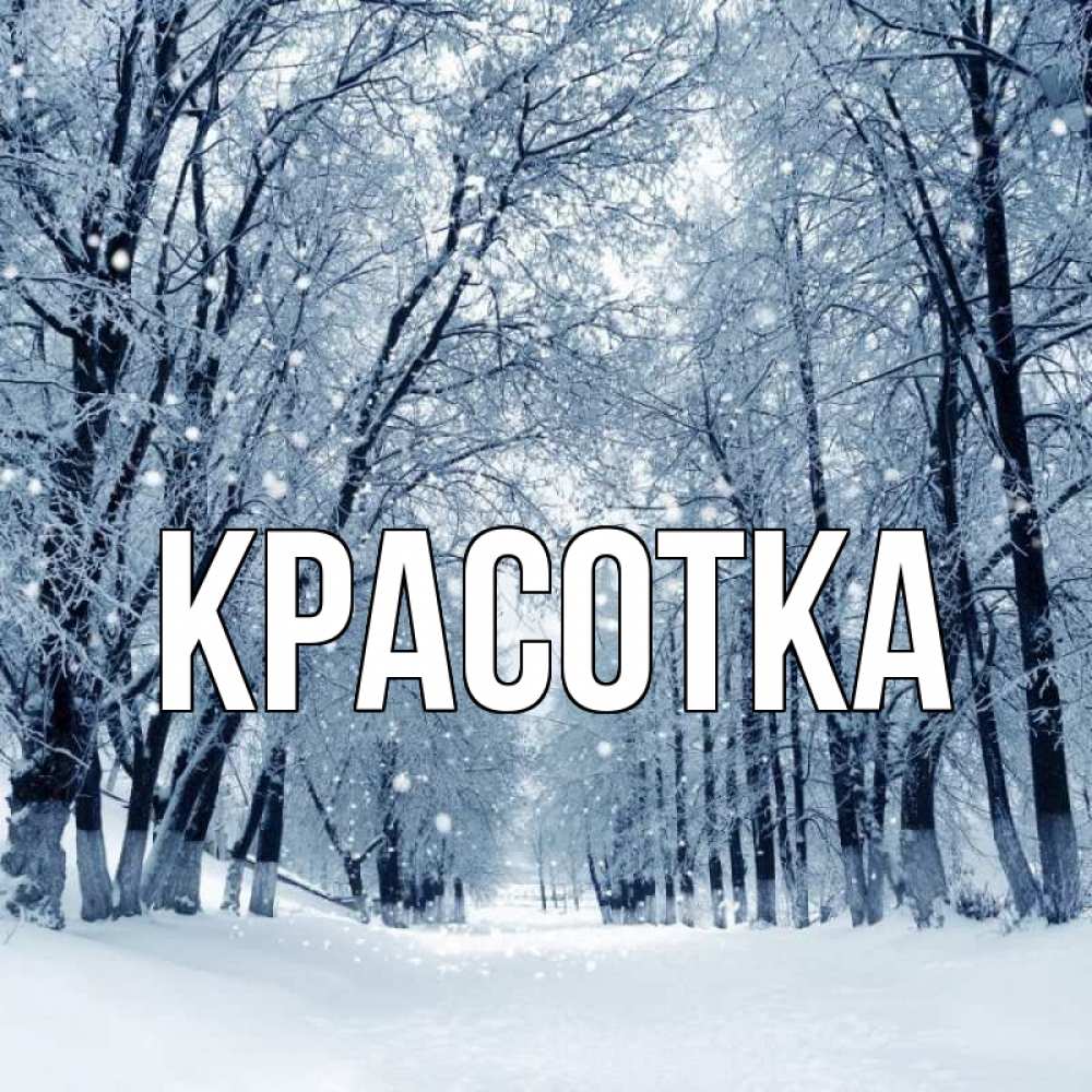 Открытка на каждый день с именем, красотка Главная снег, лес, парк Прикольная открытка с пожеланием онлайн скачать бесплатно 