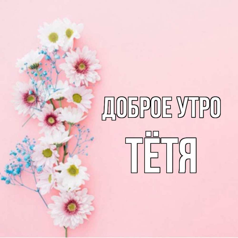 Свадьба открытка, красивые открытки с добрым утром любимой тете