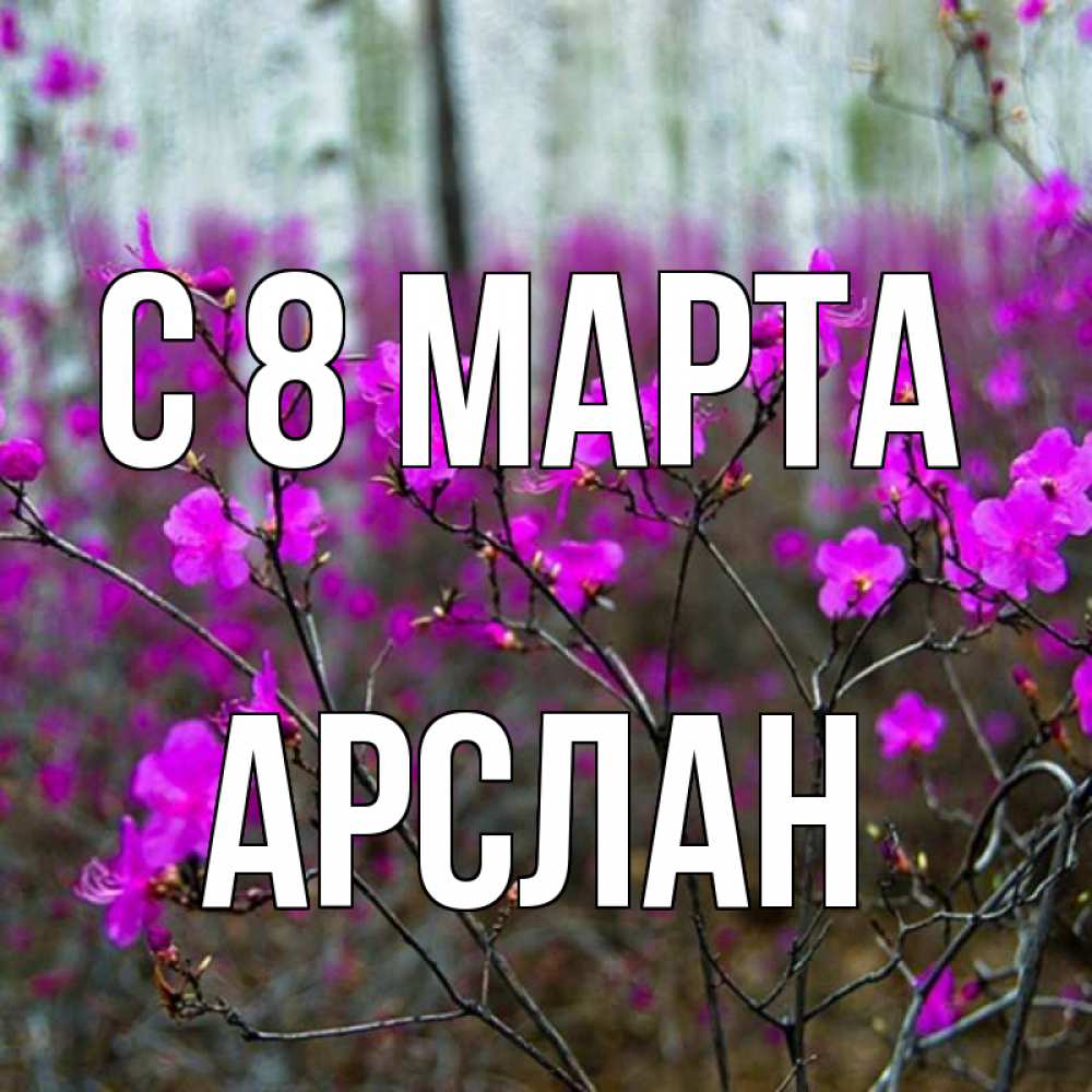 Открытка на каждый день с именем, Арслан С 8 МАРТА дикие цветы Прикольная открытка с пожеланием онлайн скачать бесплатно 
