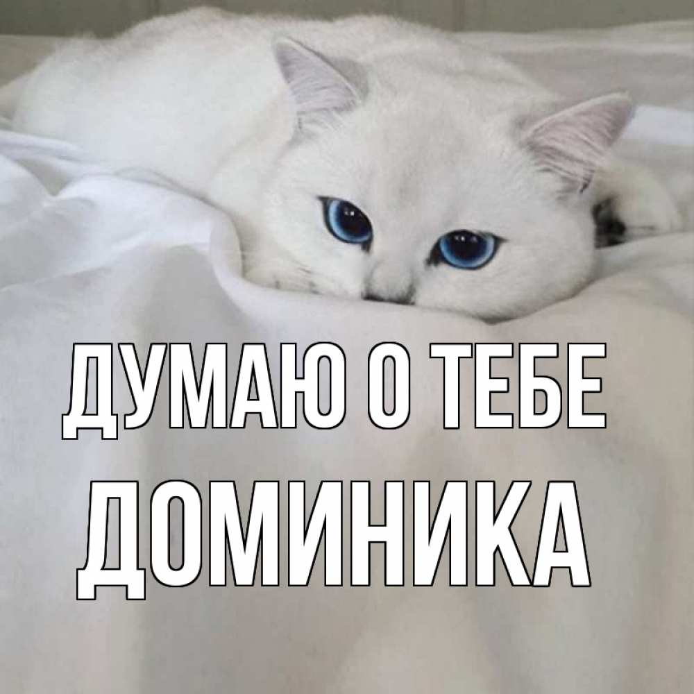 Открытка на каждый день с именем, Доминика Думаю о тебе я очень по тебе скучаю и тоскую Прикольная открытка с пожеланием онлайн скачать бесплатно 