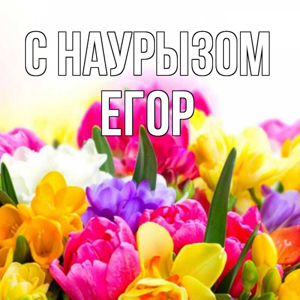 Открытка на каждый день с именем, Егор С наурызом тюльпаны Прикольная открытка с пожеланием онлайн скачать бесплатно 