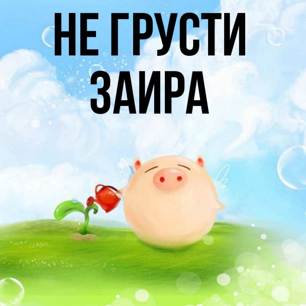 Открытка на каждый день с именем, Заира Не грусти поливает цветок порося Прикольная открытка с пожеланием онлайн скачать бесплатно 