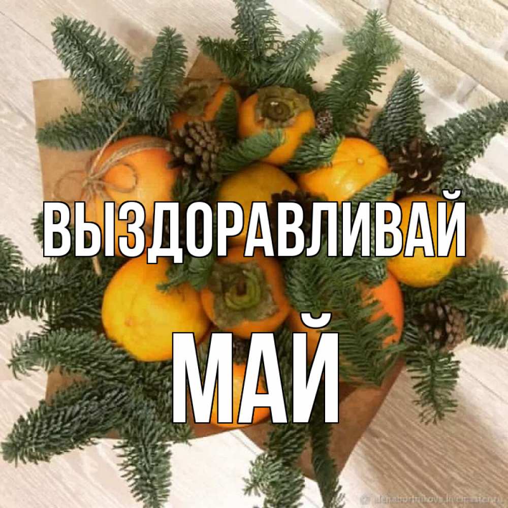 Открытка на каждый день с именем, Май Выздоравливай апельсины и хурьма Прикольная открытка с пожеланием онлайн скачать бесплатно 