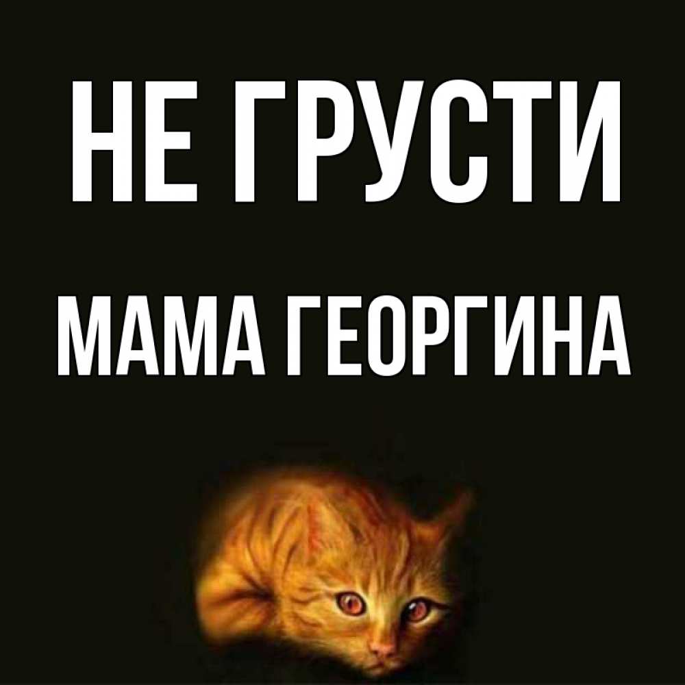 Открытка на каждый день с именем, Мама-Георгина Не грусти лежащий кот в темноте Прикольная открытка с пожеланием онлайн скачать бесплатно 