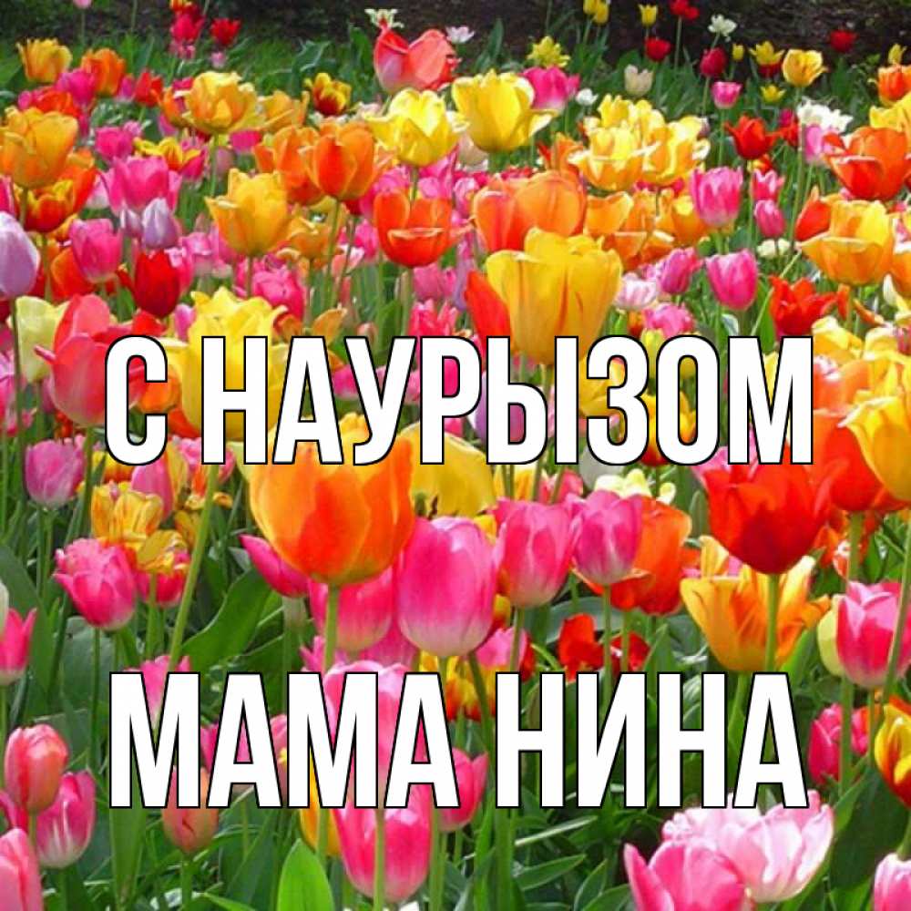 Открытка на каждый день с именем, Мама-Нина С наурызом праздник весны наурыз 4 Прикольная открытка с пожеланием онлайн скачать бесплатно 