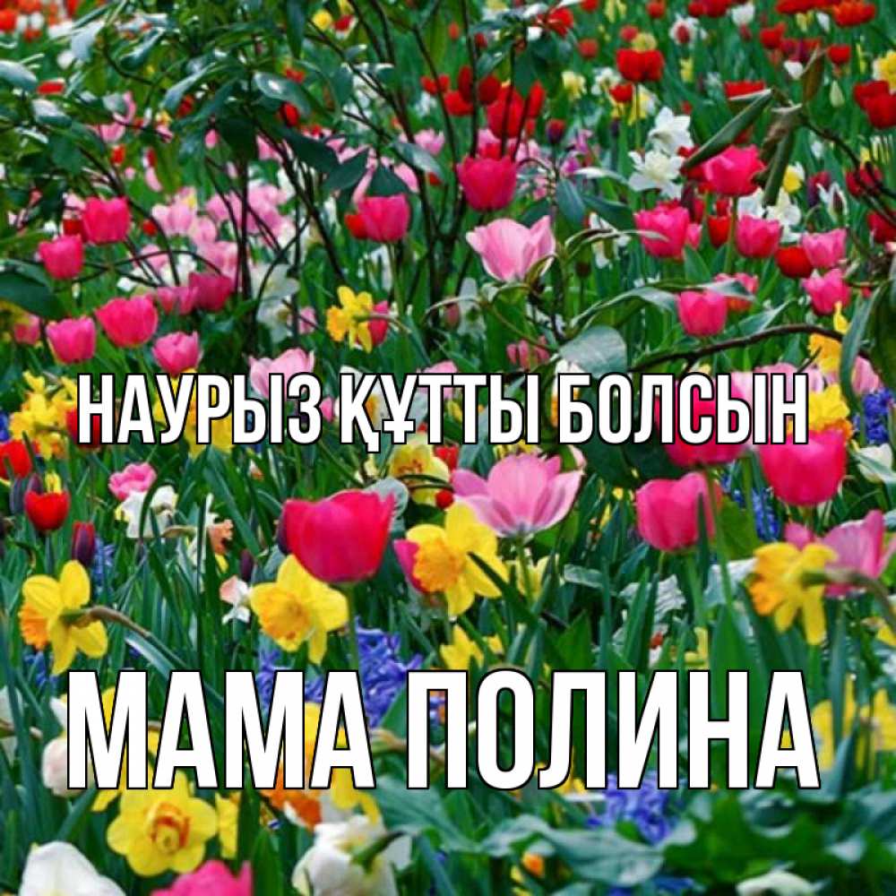 Открытка на каждый день с именем, Мама-Полина Наурыз құтты болсын с наурызом поздравления для женщины Прикольная открытка с пожеланием онлайн скачать бесплатно 