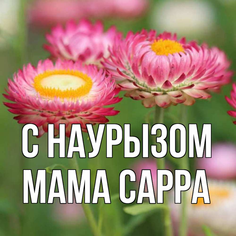 Открытка на каждый день с именем, Мама-Сарра С наурызом подарок на международный женский день Прикольная открытка с пожеланием онлайн скачать бесплатно 