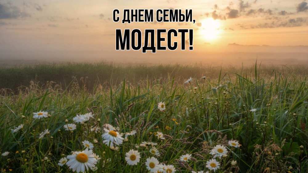 Открытка на каждый день с именем, Модест С днем семьи с днем семьи Прикольная открытка с пожеланием онлайн скачать бесплатно 