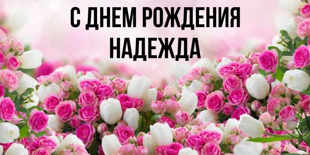Открытка на каждый день с именем, НАДЕЖДА С днем рождения открытка с разными розами Прикольная открытка с пожеланием онлайн скачать бесплатно 