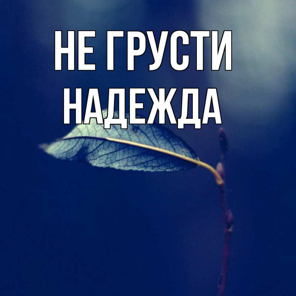 Открытка на каждый день с именем, Надежда Не грусти растение Прикольная открытка с пожеланием онлайн скачать бесплатно 