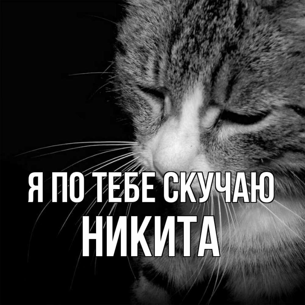Открытка на каждый день с именем, Никита Я по тебе скучаю мне скучно Прикольная открытка с пожеланием онлайн скачать бесплатно 
