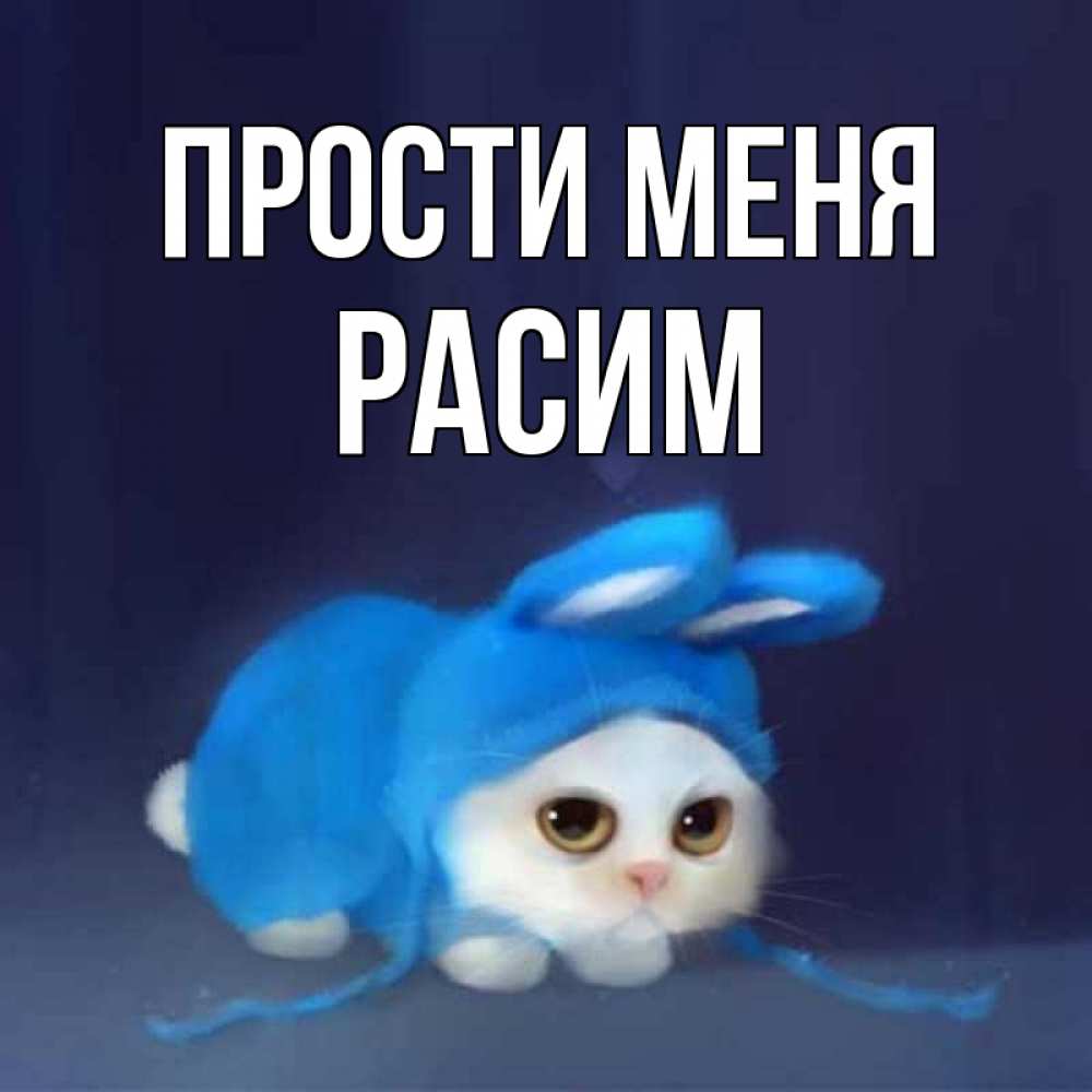 Открытка на каждый день с именем, Расим Прости меня невинный котозай просит прощения Прикольная открытка с пожеланием онлайн скачать бесплатно 