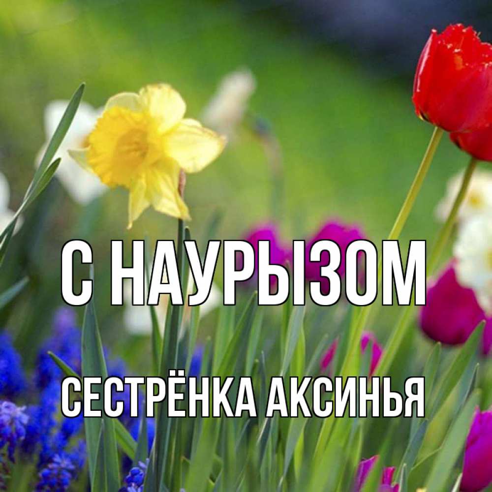 Открытка на каждый день с именем, Сестрёнка-Аксинья С наурызом праздник весны наурыз 3 Прикольная открытка с пожеланием онлайн скачать бесплатно 