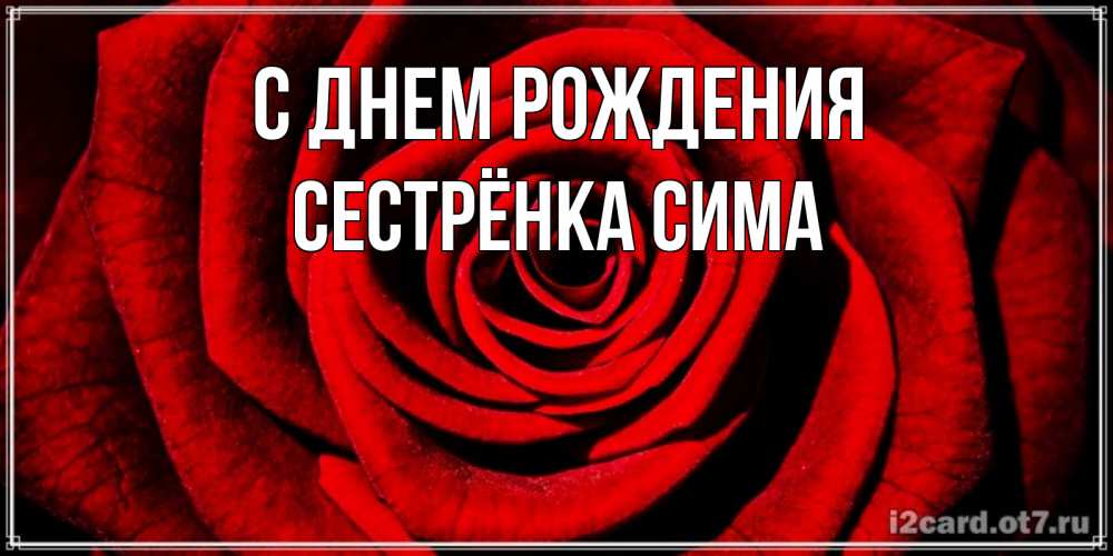 Открытка на каждый день с именем, Сестрёнка-Сима С днем рождения алая роза Прикольная открытка с пожеланием онлайн скачать бесплатно 