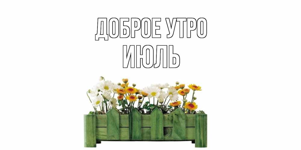 Открытка на каждый день с именем, Июль Доброе утро цветы Прикольная открытка с пожеланием онлайн скачать бесплатно 
