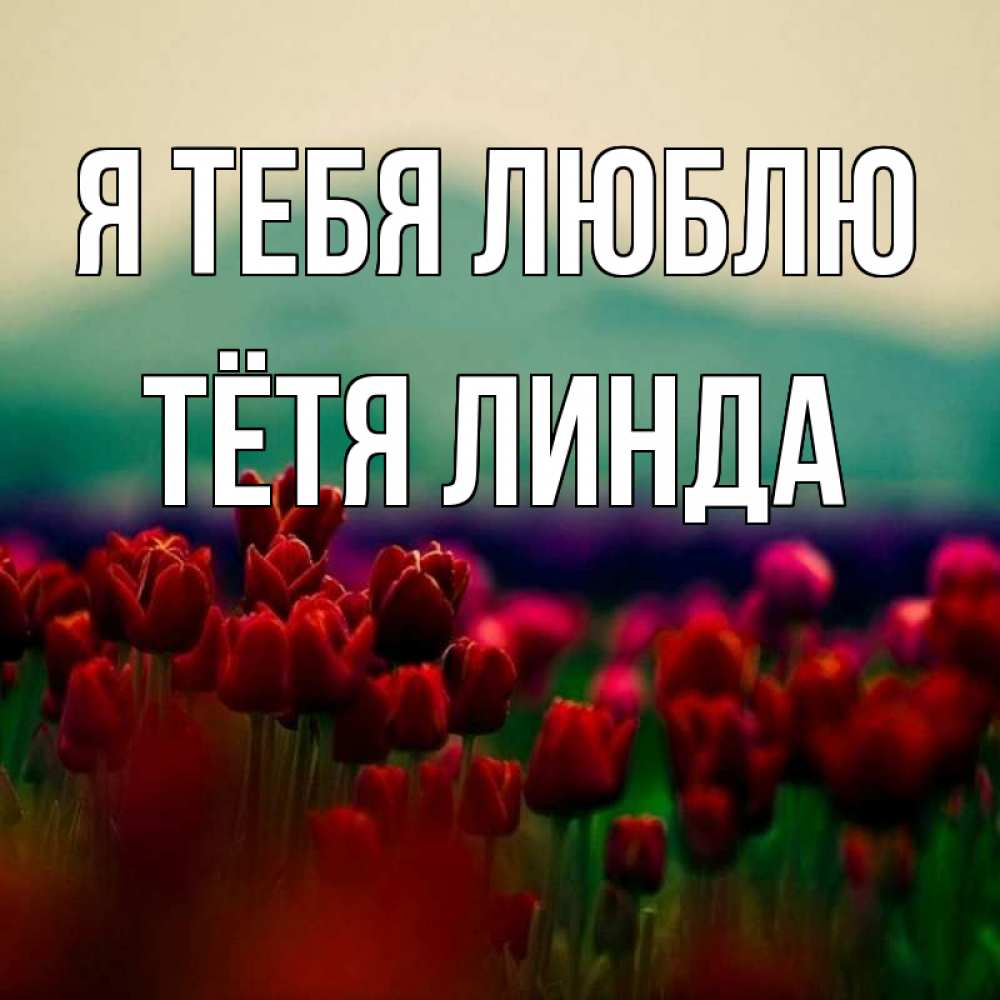 Открытка на каждый день с именем, Тётя-Линда Я тебя люблю тюльпаны 4 Прикольная открытка с пожеланием онлайн скачать бесплатно 