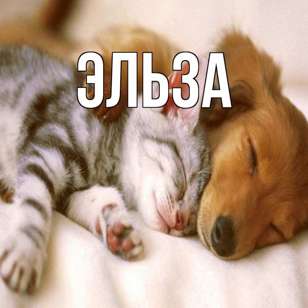 Картинка  с именем , Эльза