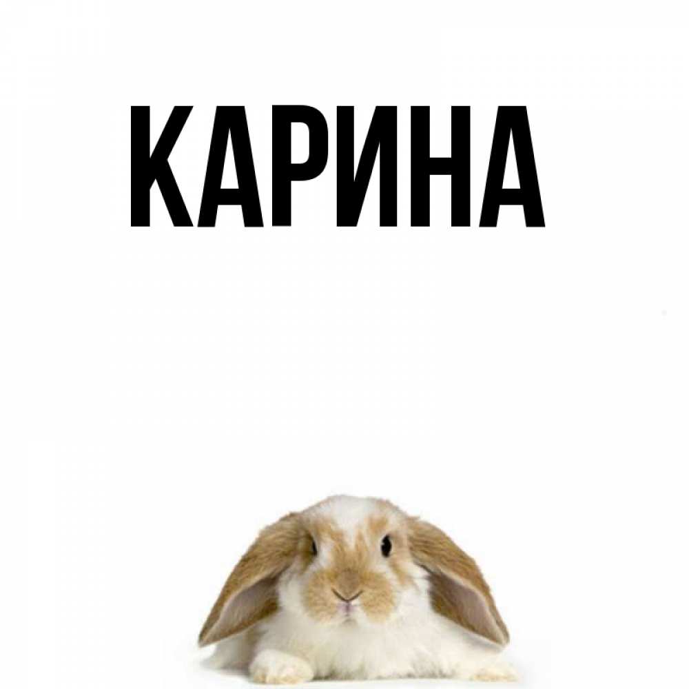 Открытка на каждый день с именем, Карина Главная коричнево белый заяц с большими ушками Прикольная открытка с пожеланием онлайн скачать бесплатно 