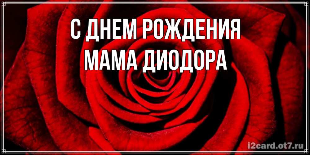 Открытка на каждый день с именем, Мама-Диодора С днем рождения алая роза Прикольная открытка с пожеланием онлайн скачать бесплатно 