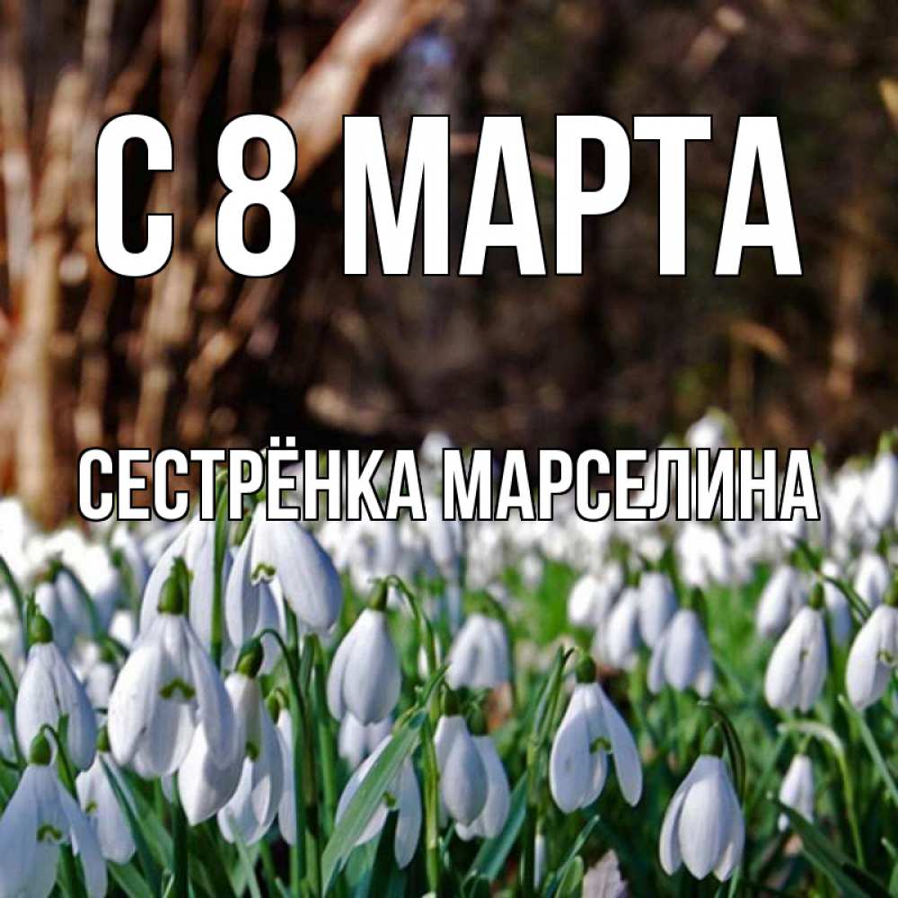 Открытка на каждый день с именем, Сестрёнка-Марселина С 8 МАРТА с подснежниками 1 Прикольная открытка с пожеланием онлайн скачать бесплатно 