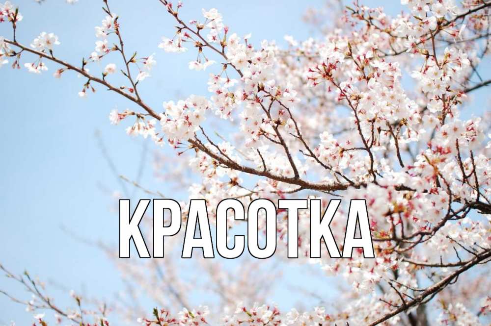 Открытка на каждый день с именем, красотка Главная С 1 мая Прикольная открытка с пожеланием онлайн скачать бесплатно 