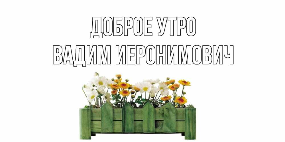 Открытка на каждый день с именем, Вадим-Иеронимович Доброе утро цветы Прикольная открытка с пожеланием онлайн скачать бесплатно 