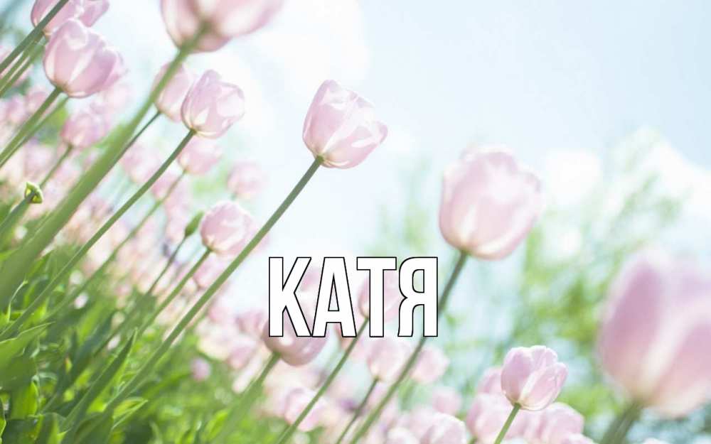 Открытка на каждый день с именем, Катя Главная С 1 мая Прикольная открытка с пожеланием онлайн скачать бесплатно 