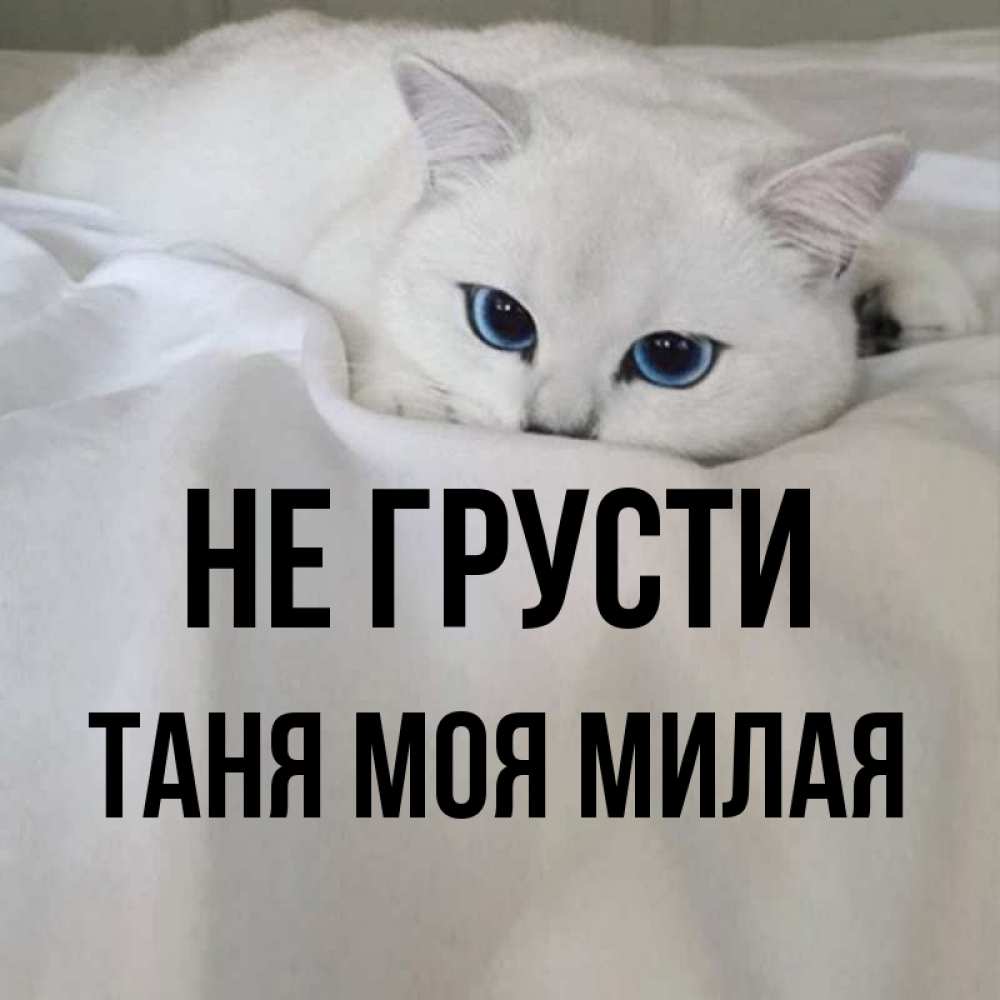 Не милая