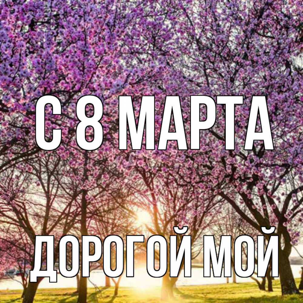 Открытка на каждый день с именем, Дорогой-мой С 8 МАРТА международный женский день Прикольная открытка с пожеланием онлайн скачать бесплатно 