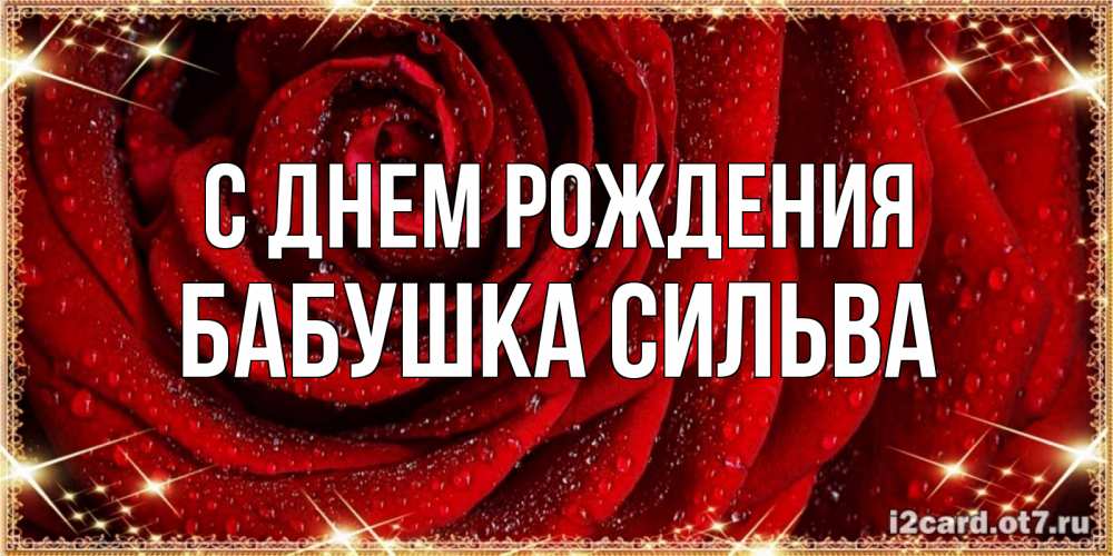 Открытка на каждый день с именем, Бабушка-Сильва С днем рождения роса на розе блестящая в лучах солнца Прикольная открытка с пожеланием онлайн скачать бесплатно 