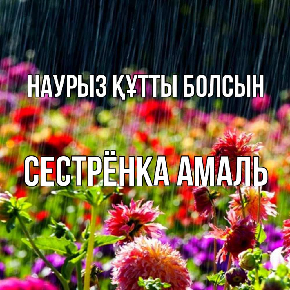 Открытка на каждый день с именем, Сестрёнка-Амаль Наурыз құтты болсын цветы под дождиком к наурызу Прикольная открытка с пожеланием онлайн скачать бесплатно 