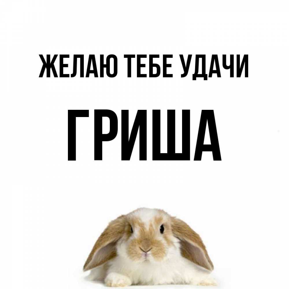 Рифмы к имени гриша. Открытка удачи Гриша. Открытки с именем Гриша. Удачи тебе во всём Гриша открытки. Приколы с именем Гриша