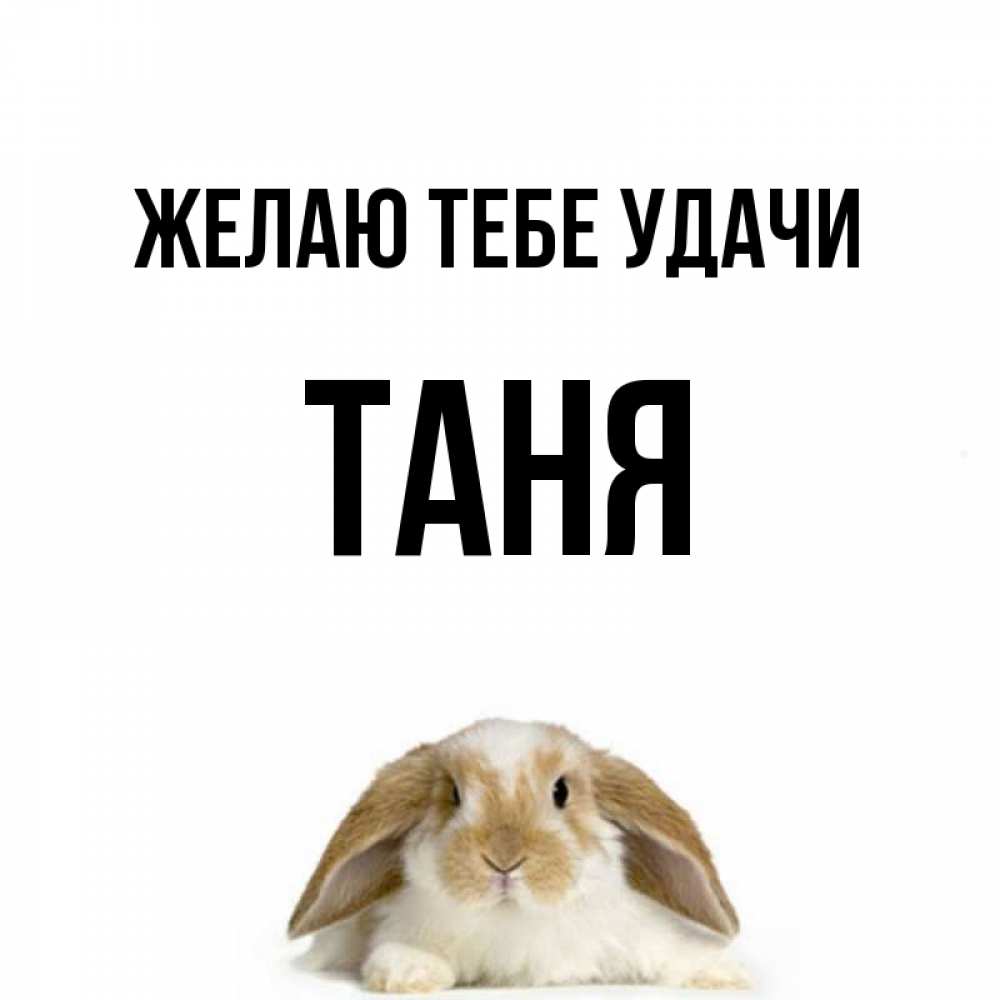 Таня удачи тебе картинки
