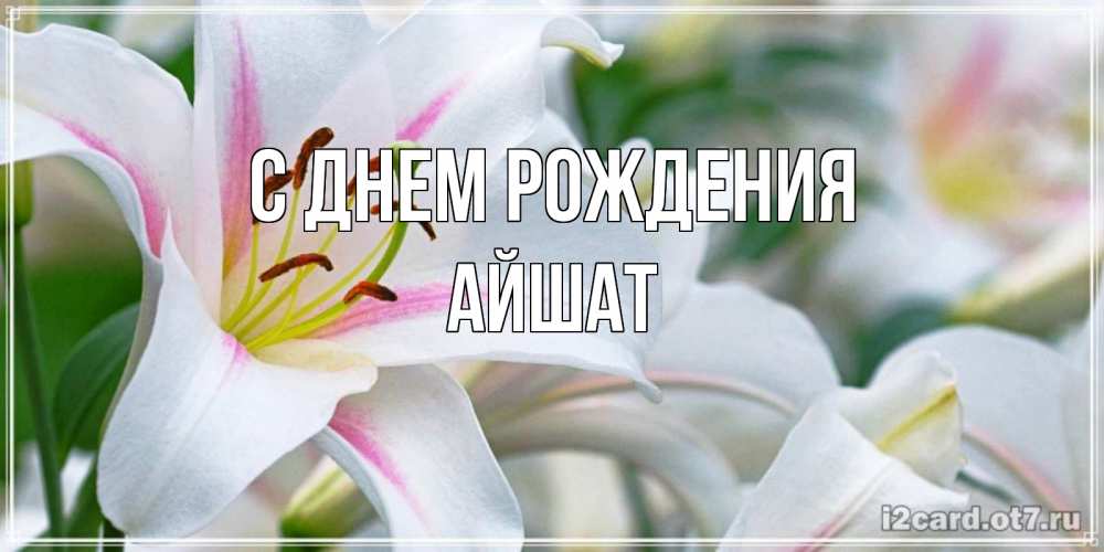 Открытка на каждый день с именем, АЙШАТ С днем рождения открытка с белой лилией Прикольная открытка с пожеланием онлайн скачать бесплатно 