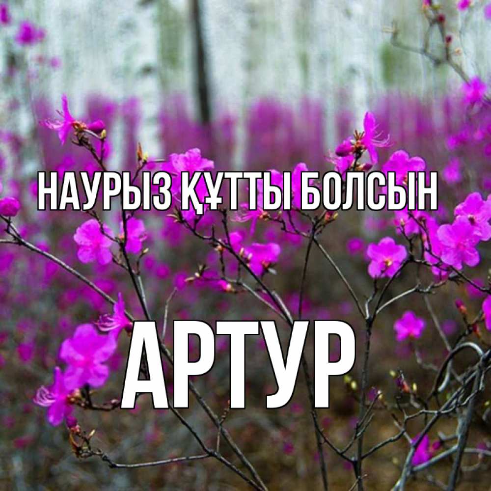 Открытка на каждый день с именем, Артур Наурыз құтты болсын дикие цветы Прикольная открытка с пожеланием онлайн скачать бесплатно 