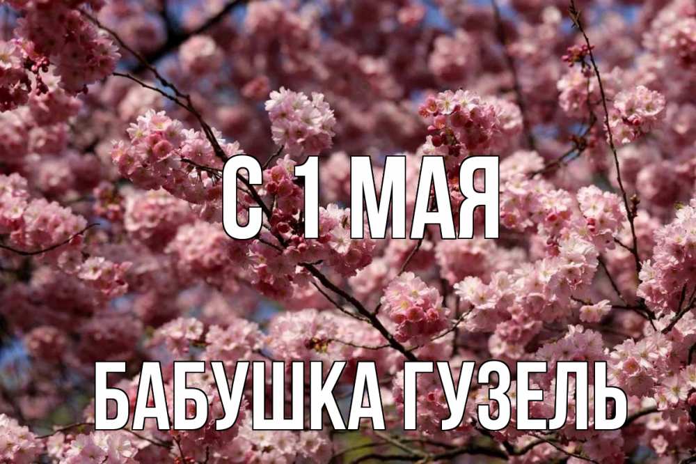 Открытка на каждый день с именем, Бабушка-Гузель С 1 мая С 1 мая Прикольная открытка с пожеланием онлайн скачать бесплатно 