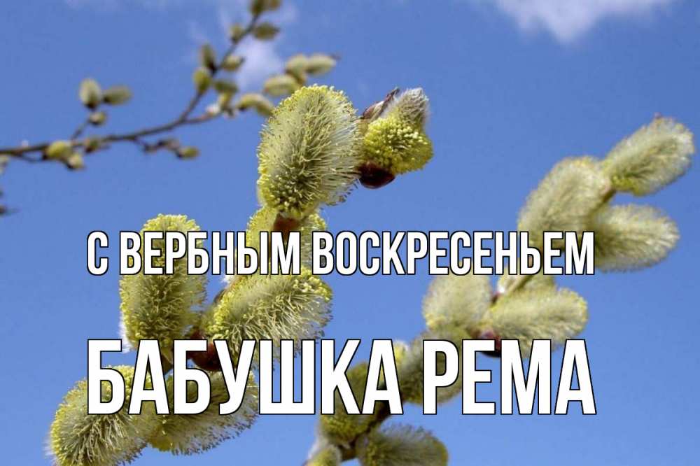 Открытка на каждый день с именем, Бабушка-Рема С вербным воскресеньем верба Прикольная открытка с пожеланием онлайн скачать бесплатно 